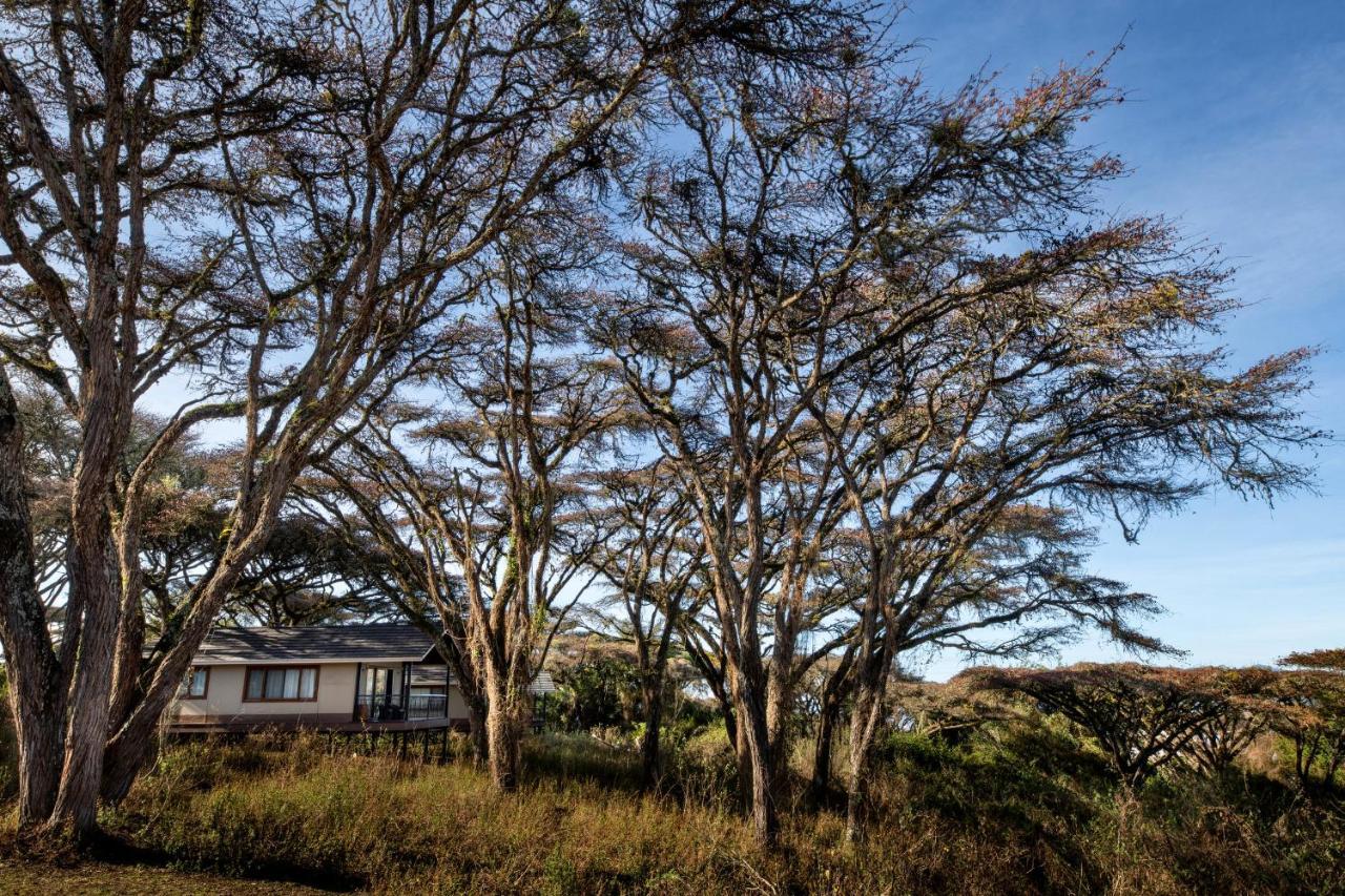 Lions Paw Ngorongoro Hotell Eksteriør bilde