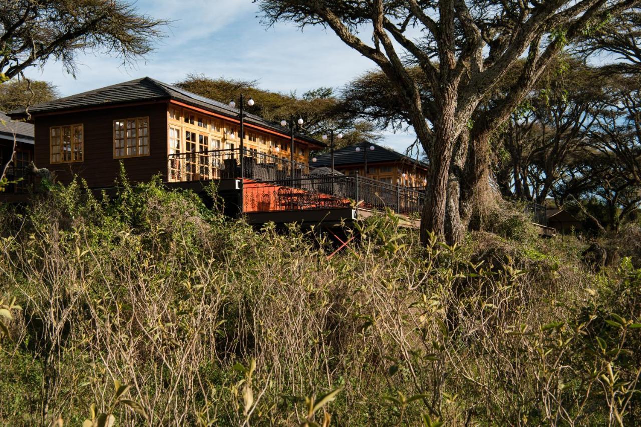 Lions Paw Ngorongoro Hotell Eksteriør bilde