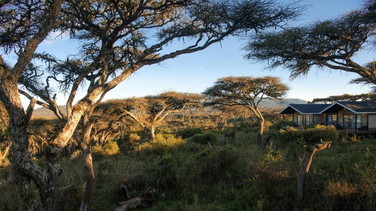 Lions Paw Ngorongoro Hotell Eksteriør bilde